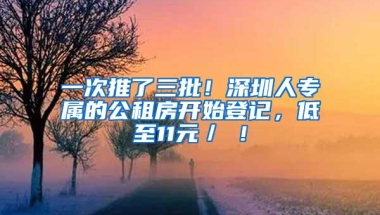 一次推了三批！深圳人专属的公租房开始登记，低至11元／㎡！