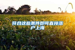 符合这些条件即可直接落户上海