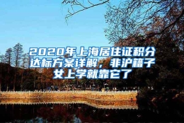 2020年上海居住证积分达标方案详解，非沪籍子女上学就靠它了