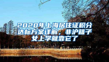 2020年上海居住证积分达标方案详解，非沪籍子女上学就靠它了