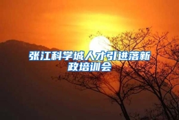 张江科学城人才引进落新政培训会