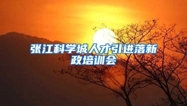 张江科学城人才引进落新政培训会