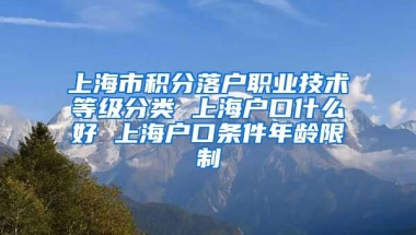 上海市积分落户职业技术等级分类 上海户口什么好 上海户口条件年龄限制