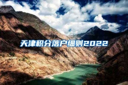 天津积分落户细则2022