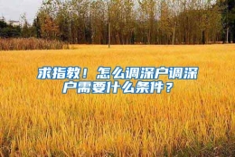 求指教！怎么调深户调深户需要什么条件？