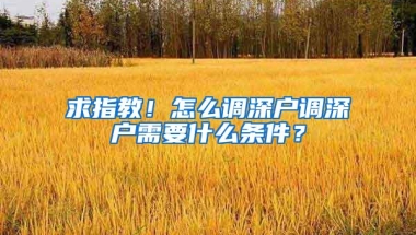 求指教！怎么调深户调深户需要什么条件？