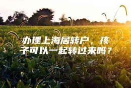 办理上海居转户，孩子可以一起转过来吗？