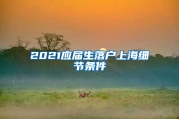 2021应届生落户上海细节条件