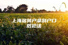 上海居转户拿到户口后犯法