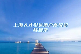 上海人才引进落户高级职称目录