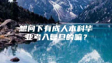 想问下有成人本科毕业考入复旦的嘛？