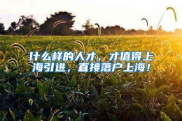 什么样的人才，才值得上海引进，直接落户上海！