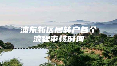 浦东新区居转户各个流程审核时间