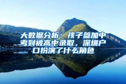 大数据分析：孩子参加中考到被高中录取，深圳户口扮演了什么角色