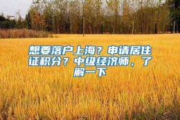 想要落户上海？申请居住证积分？中级经济师，了解一下