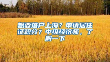 想要落户上海？申请居住证积分？中级经济师，了解一下