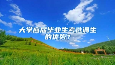 大学应届毕业生考选调生的优势？