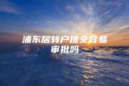 浦东居转户提交容易审批吗