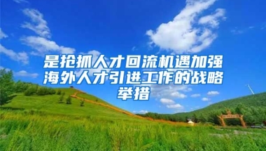 是抢抓人才回流机遇加强海外人才引进工作的战略举措