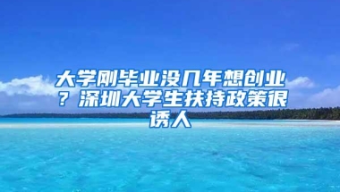 大学刚毕业没几年想创业？深圳大学生扶持政策很诱人