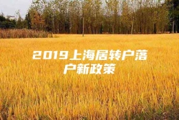 2019上海居转户落户新政策