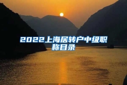 2022上海居转户中级职称目录