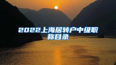 2022上海居转户中级职称目录