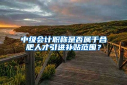 中级会计职称是否属于合肥人才引进补贴范围？