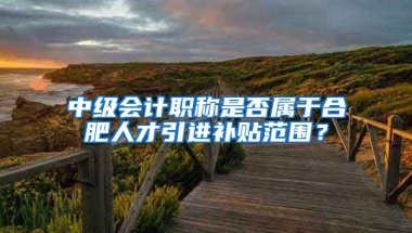 中级会计职称是否属于合肥人才引进补贴范围？