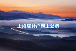 上海居转户网上公示