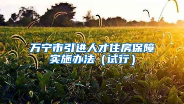 万宁市引进人才住房保障实施办法（试行）