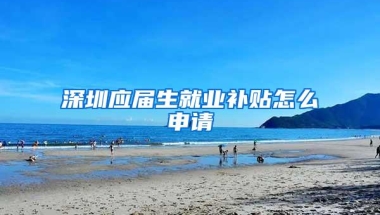 深圳应届生就业补贴怎么申请