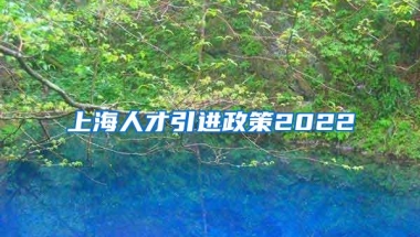 上海人才引进政策2022