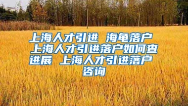 上海人才引进 海龟落户 上海人才引进落户如何查进展 上海人才引进落户 咨询