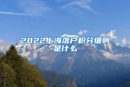 2022上海落户积分细则是什么