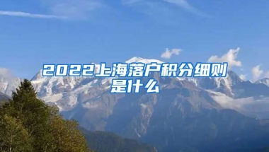 2022上海落户积分细则是什么