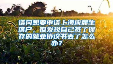 请问想要申请上海应届生落户，但发现自己签了保存的就业协议书丢了怎么办？