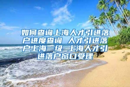 如何查询上海人才引进落户进度查询 人才引进落户上海一级 上海人才引进落户窗口受理