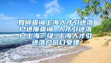 如何查询上海人才引进落户进度查询 人才引进落户上海一级 上海人才引进落户窗口受理