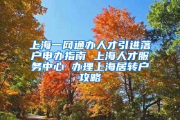 上海一网通办人才引进落户申办指南 上海人才服务中心 办理上海居转户攻略