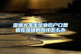 深圳大学生毕业后户口想留在深圳的应该怎么办