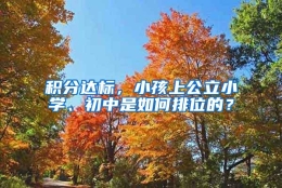 积分达标，小孩上公立小学、初中是如何排位的？