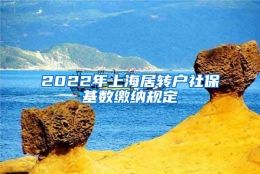 2022年上海居转户社保基数缴纳规定