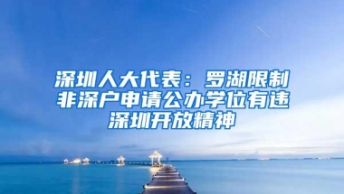 深圳人大代表：罗湖限制非深户申请公办学位有违深圳开放精神