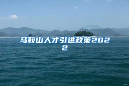 马鞍山人才引进政策2022