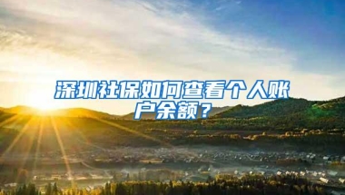 深圳社保如何查看个人账户余额？