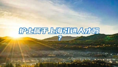 护士属于上海引进人才吗？