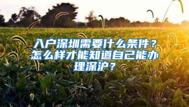 入户深圳需要什么条件？怎么样才能知道自己能办理深沪？