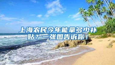 上海农民今年能拿多少补贴？一张图告诉你！