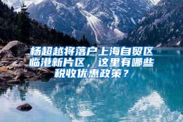 杨超越将落户上海自贸区临港新片区，这里有哪些税收优惠政策？